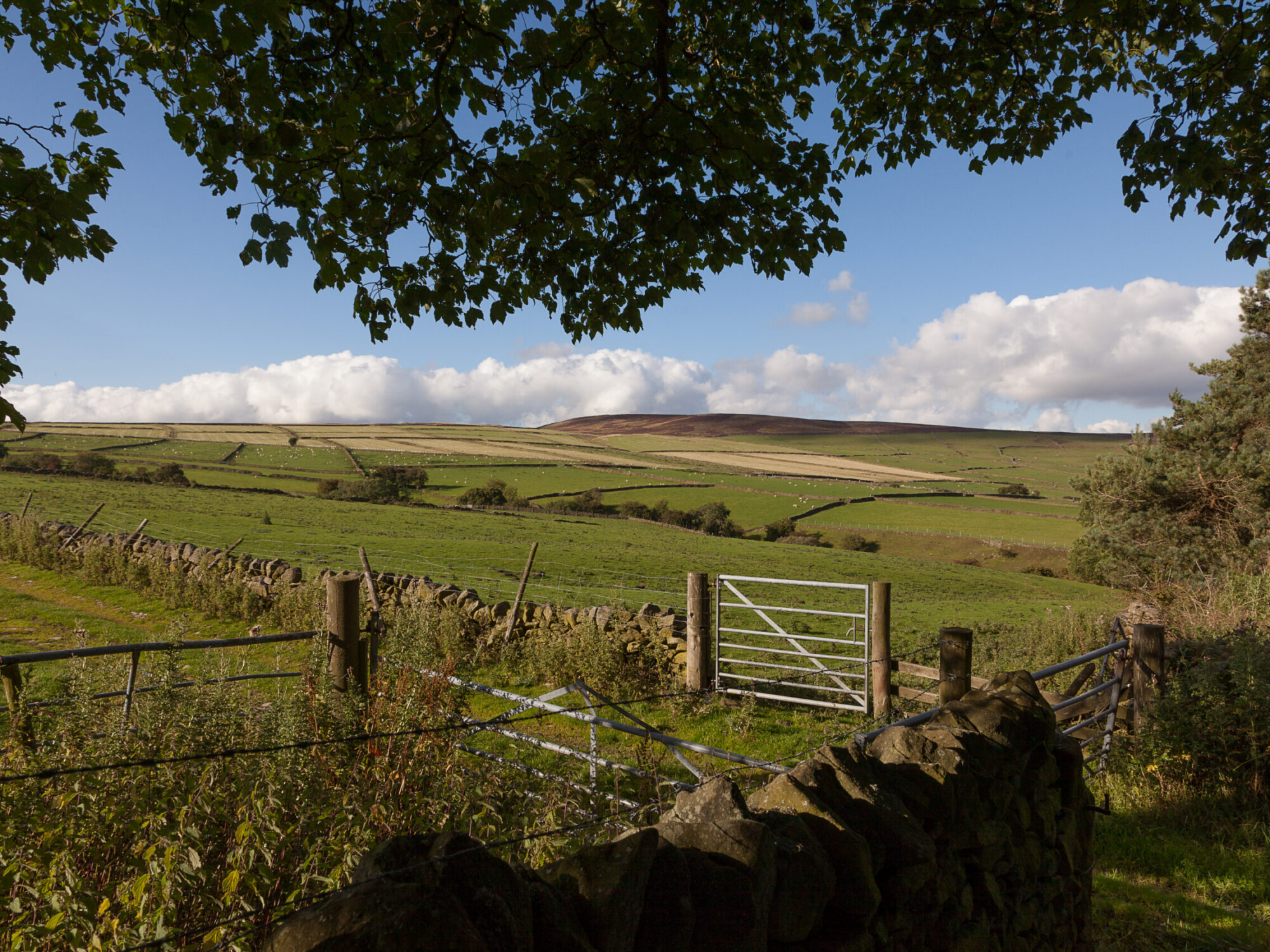 Peak district