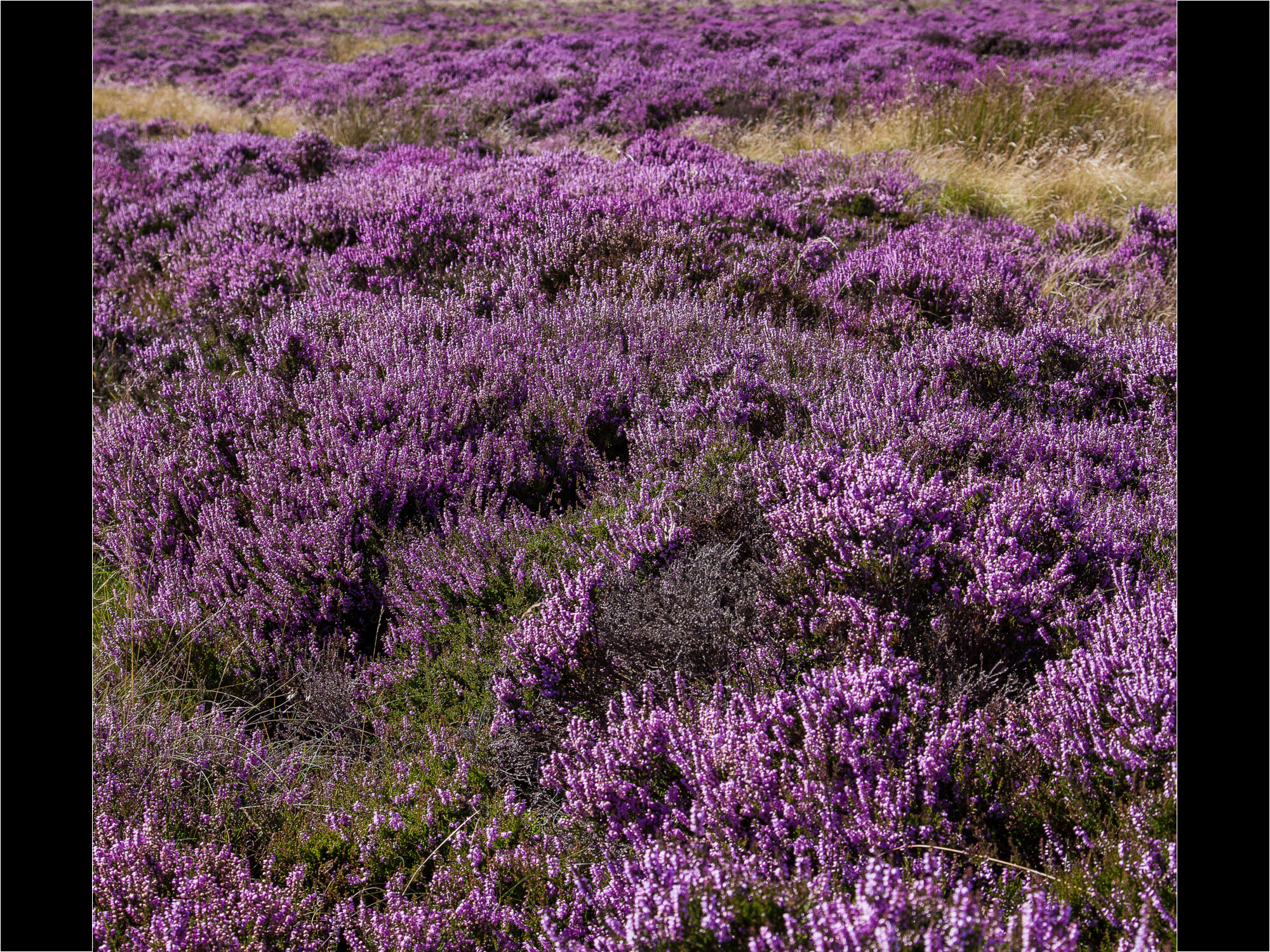 Peak district derbyshire