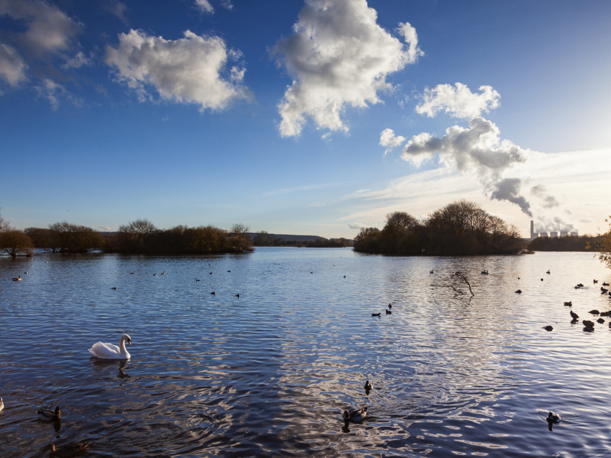 Attenborough nature reserve