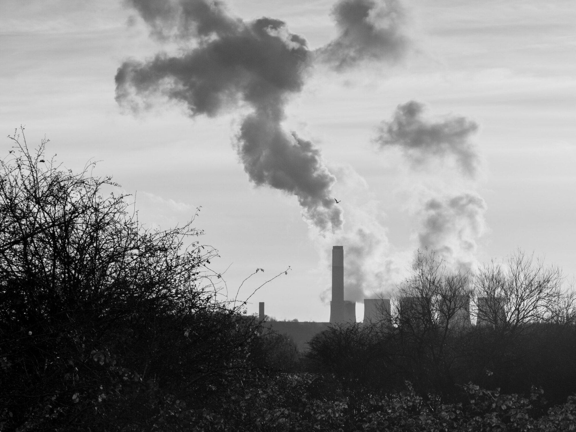 Attenborough nature reserve
